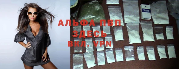сатива Алзамай