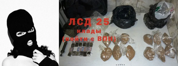 сатива Алзамай