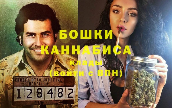 сатива Алзамай