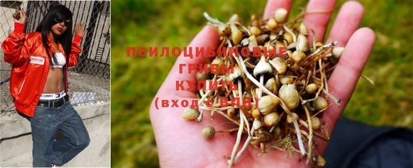 Альфа ПВП Алексеевка