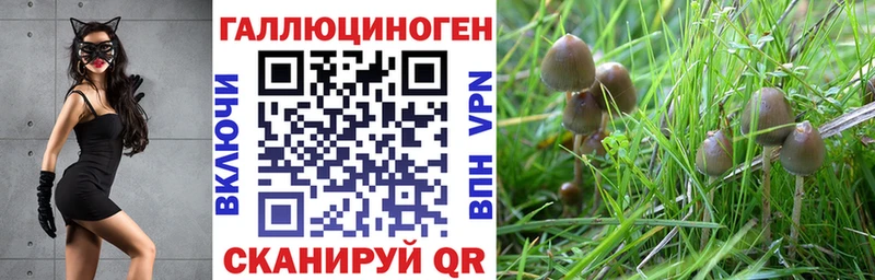 OMG вход цены дарк нет как зайти Псилоцибиновые грибы ЛСД Мытищи